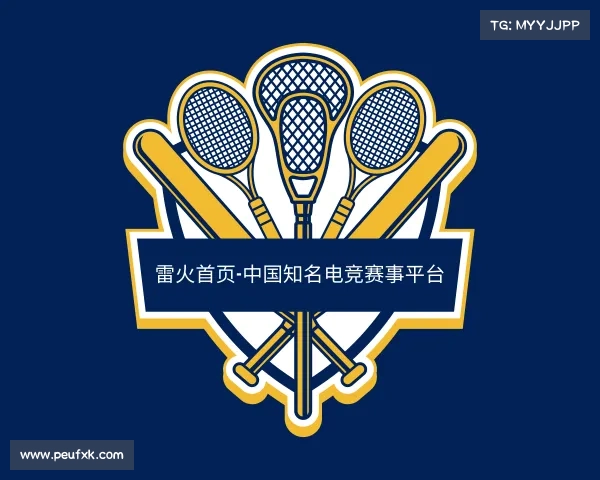 关于雷火首页-中国知名电竞赛事平台